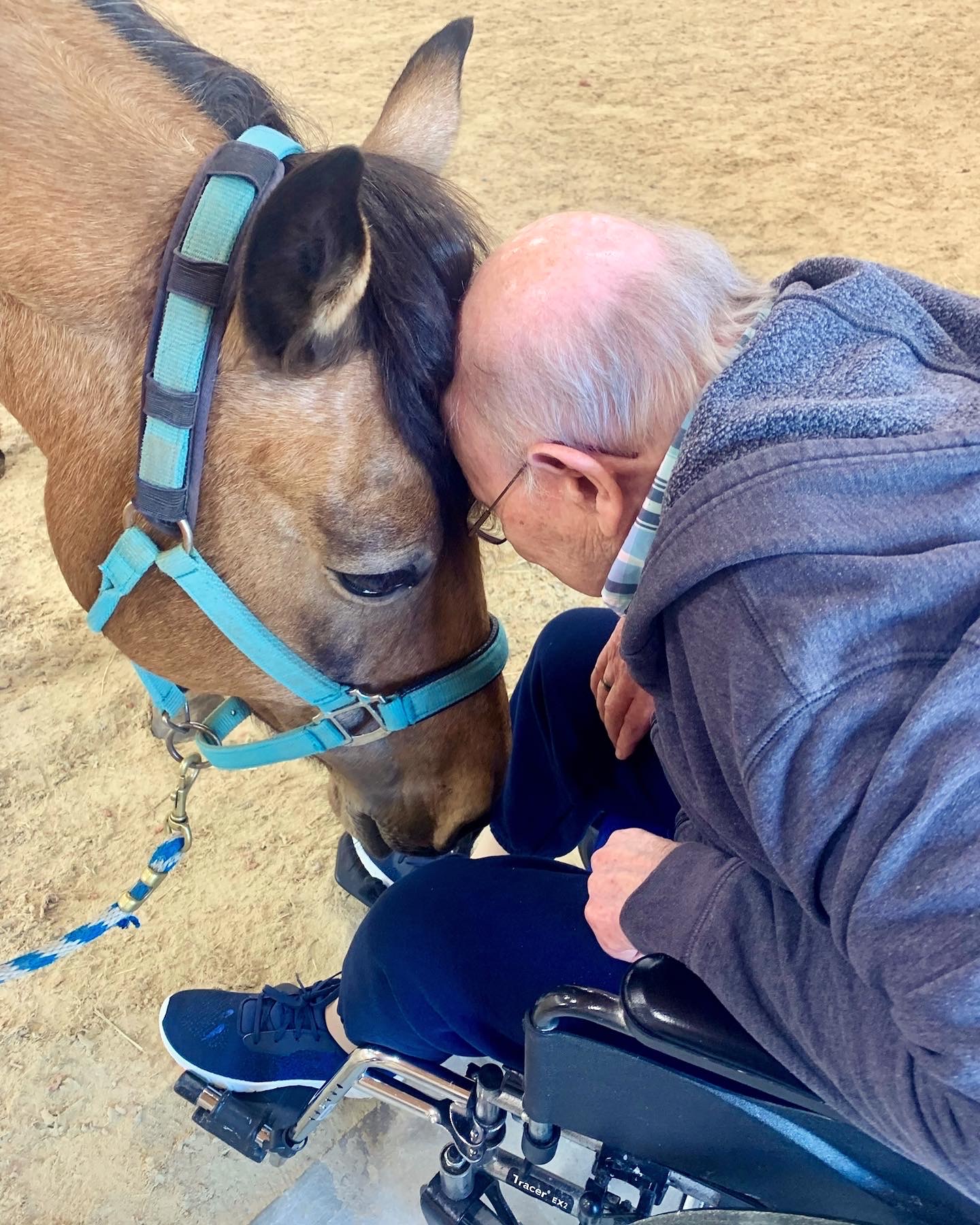 Elderly man interacting with a horse in a therapy setting
