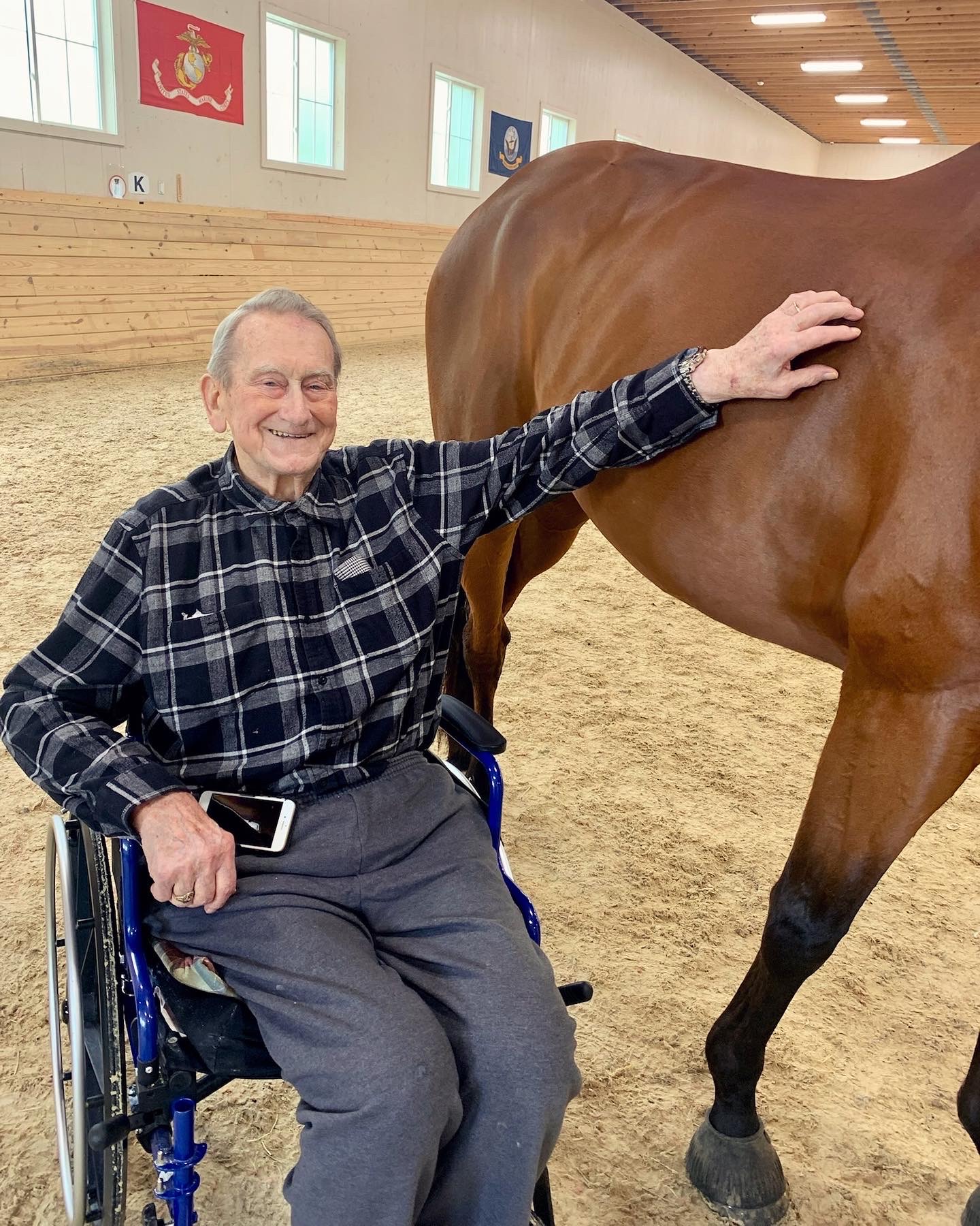 Resident interacting with a horse in a therapy setting