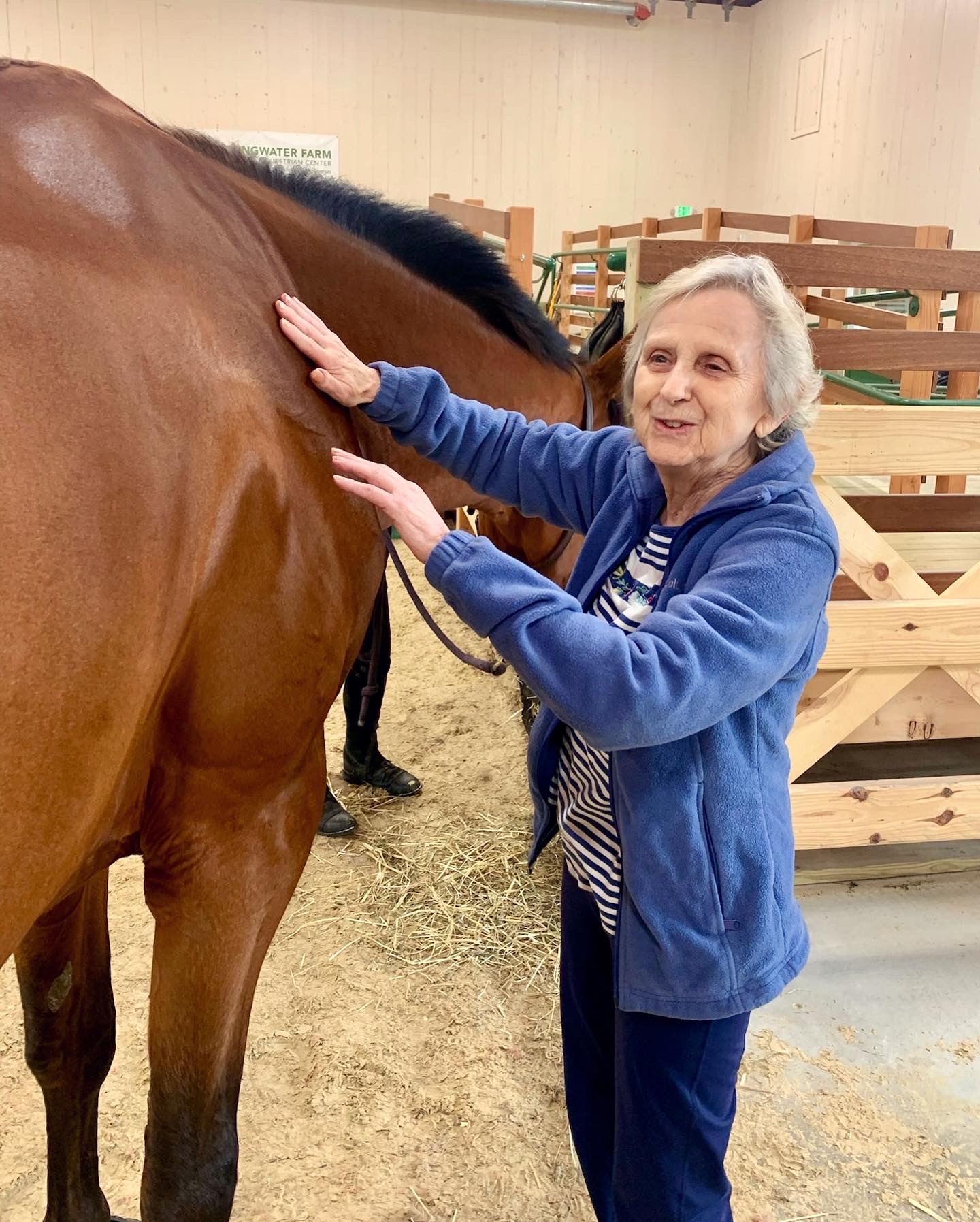 Resident interacting with a horse in a therapy session