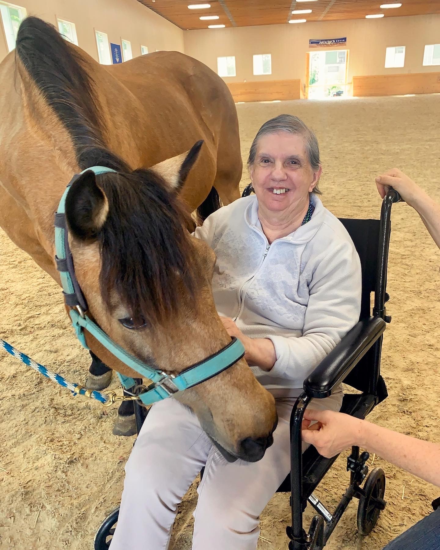 Resident interacting with a horse in an indoor setting
