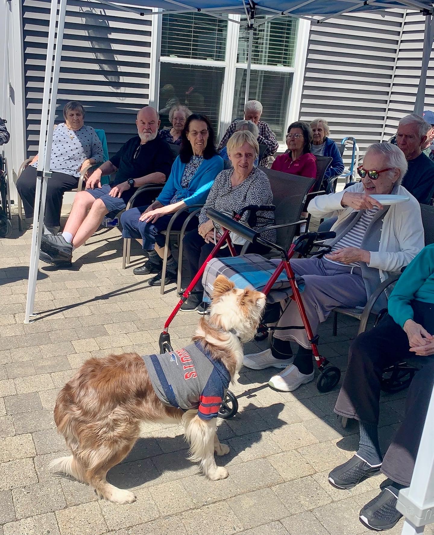 Residents enjoying an outdoor activity with a dog