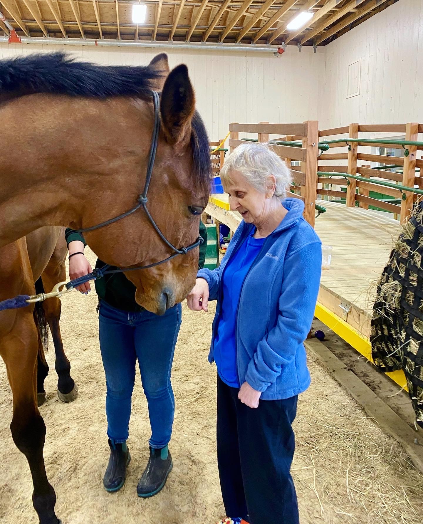 A resident interacting with a horse indoors