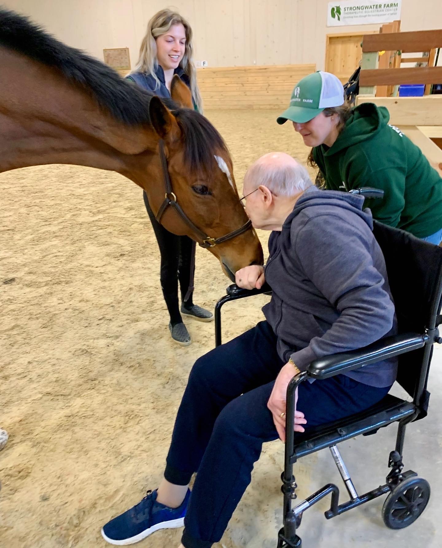 Resident interacting with a horse during therapy session