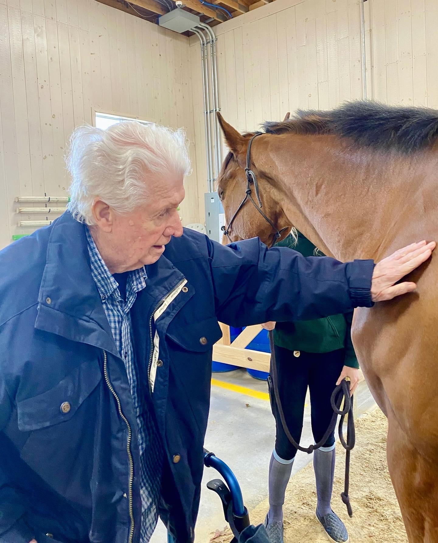 Resident interacting with a horse in a therapy setting