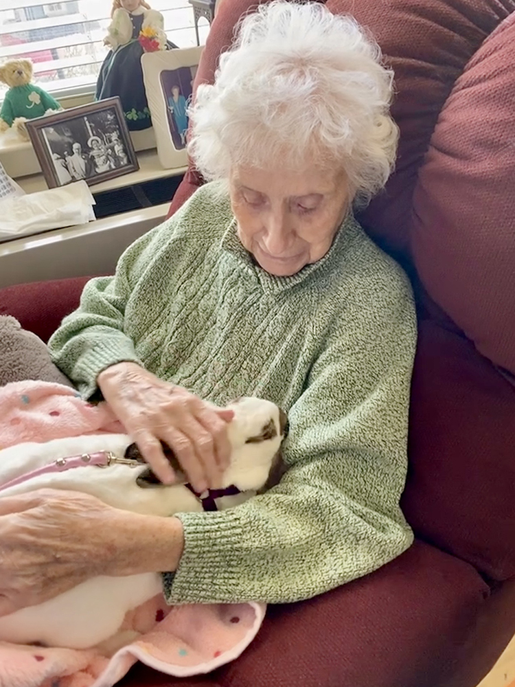 Resident enjoying time with a small dog in a cozy setting