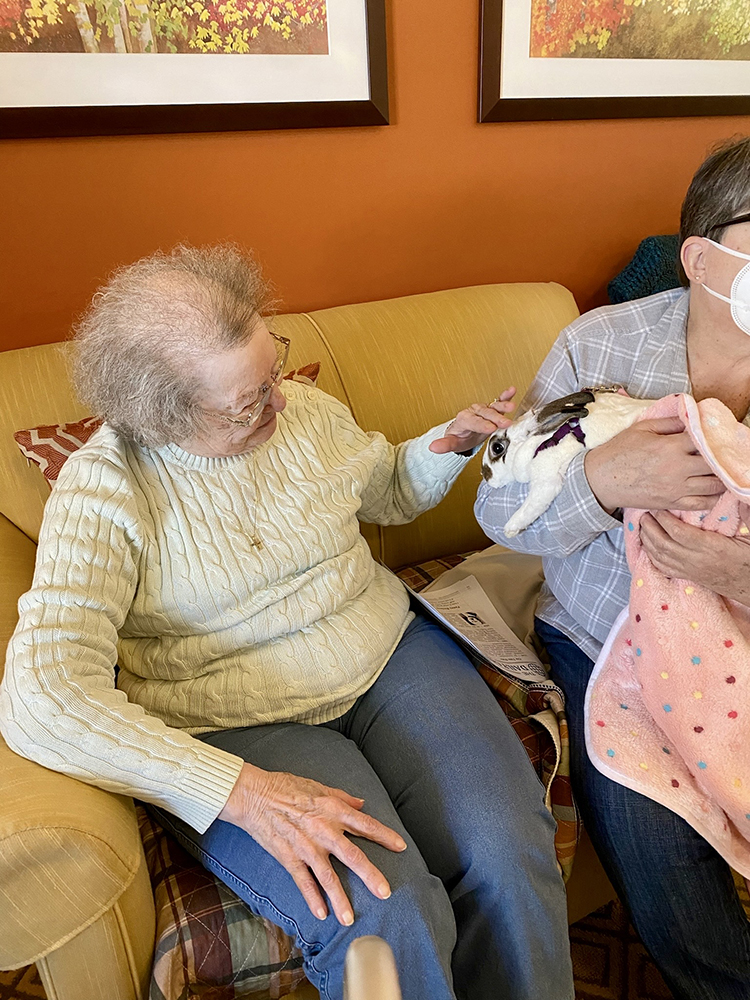 Resident interacting with a rabbit in a cozy common area.