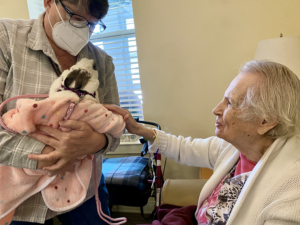 A caregiver with a resident holding a bunny in a cozy room