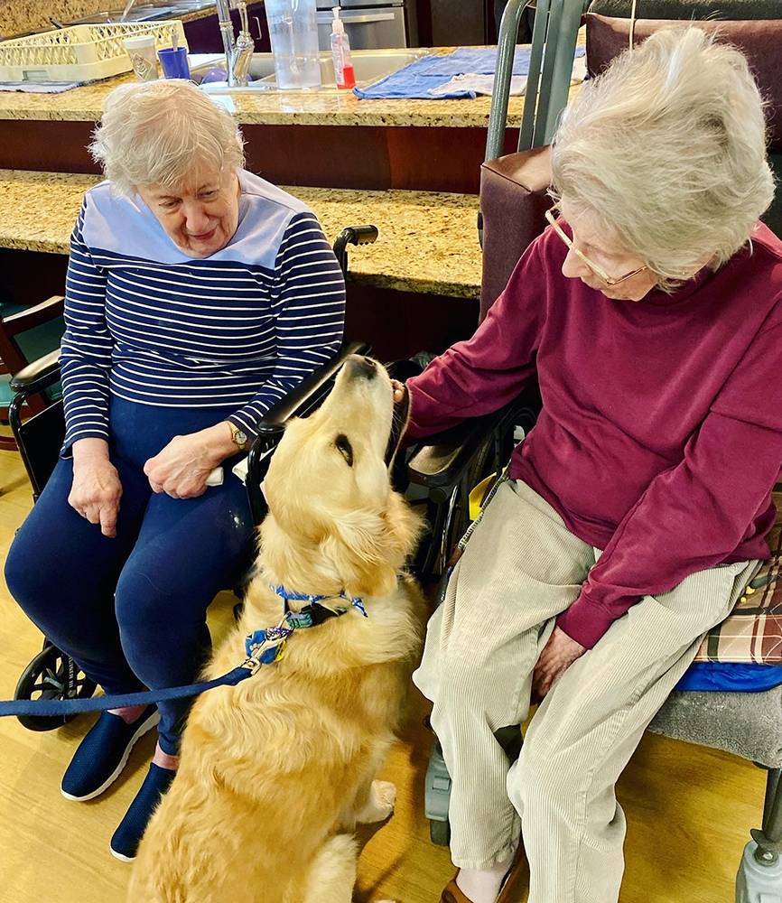 Two residents interacting with a therapy dog in a communal area
