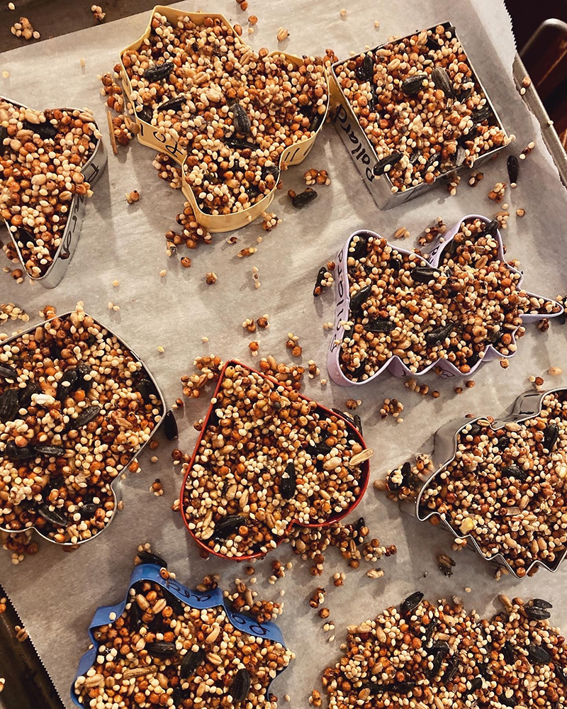 Homemade birdseed treats in colorful shapes