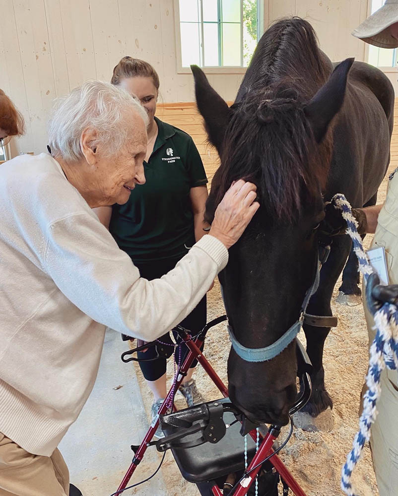 Senior resident interacting with a horse in a therapy setting