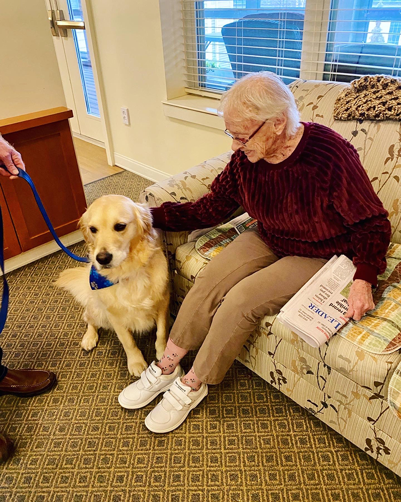 An elderly woman interacting with a therapy dog in a common area