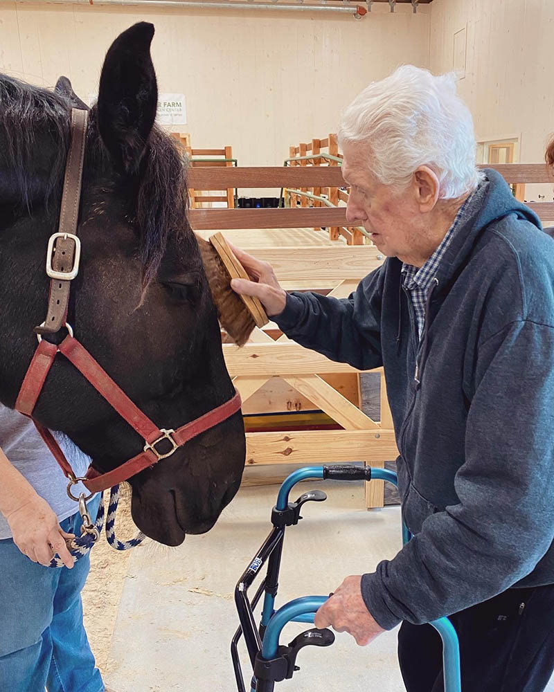 Senior resident engaging with a horse in an interior space