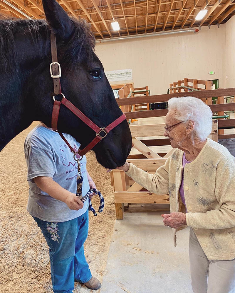 Resident interacting with a horse in an activity room