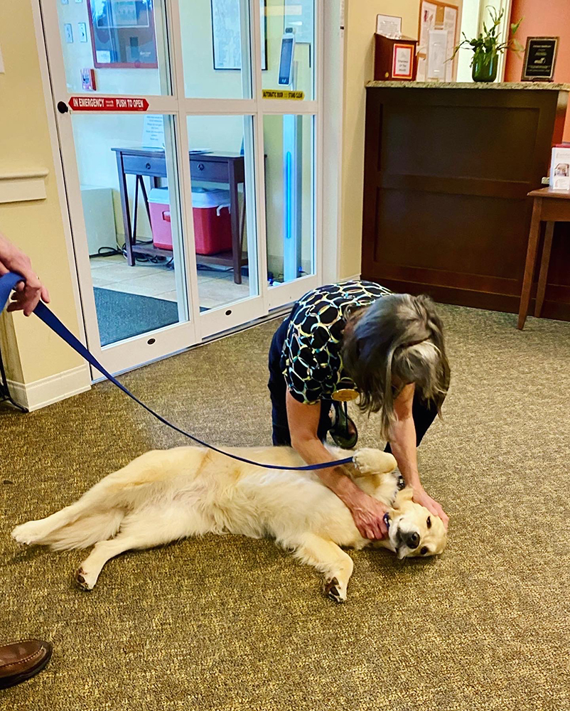 Staff member interacting with a therapy dog in the lobby