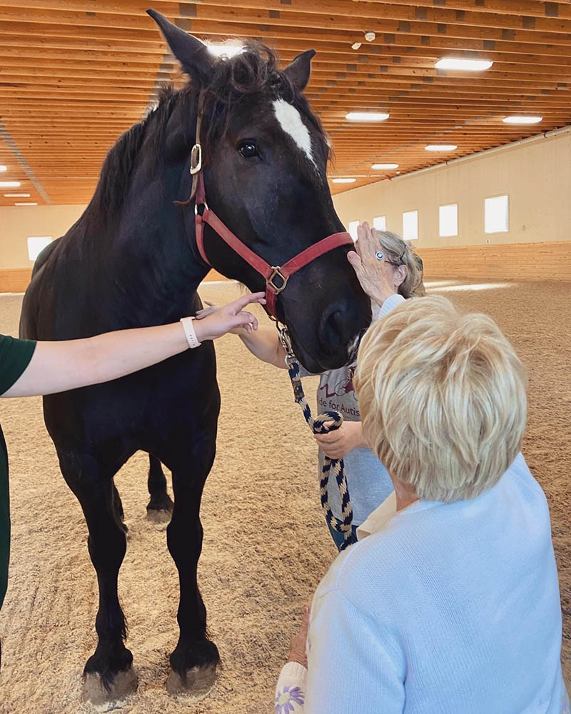 Resident interacting with a horse during therapy session