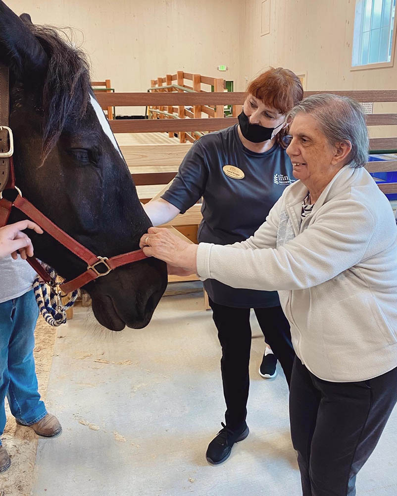 Resident interacting with a horse during an activity