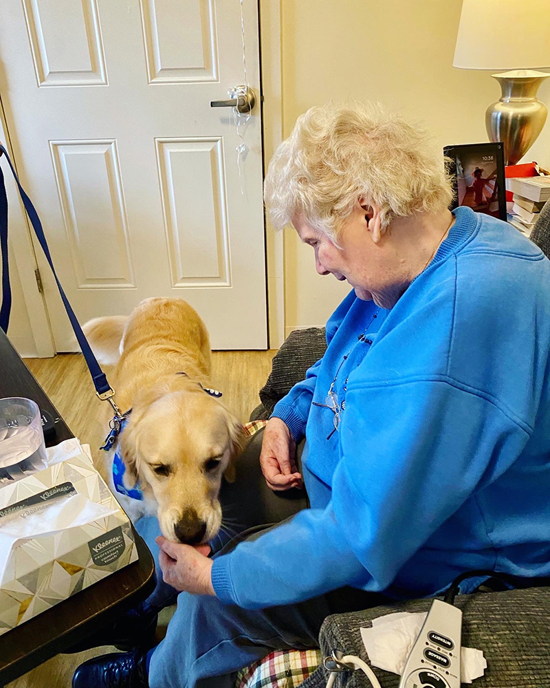 An elderly woman interacting with a dog indoors