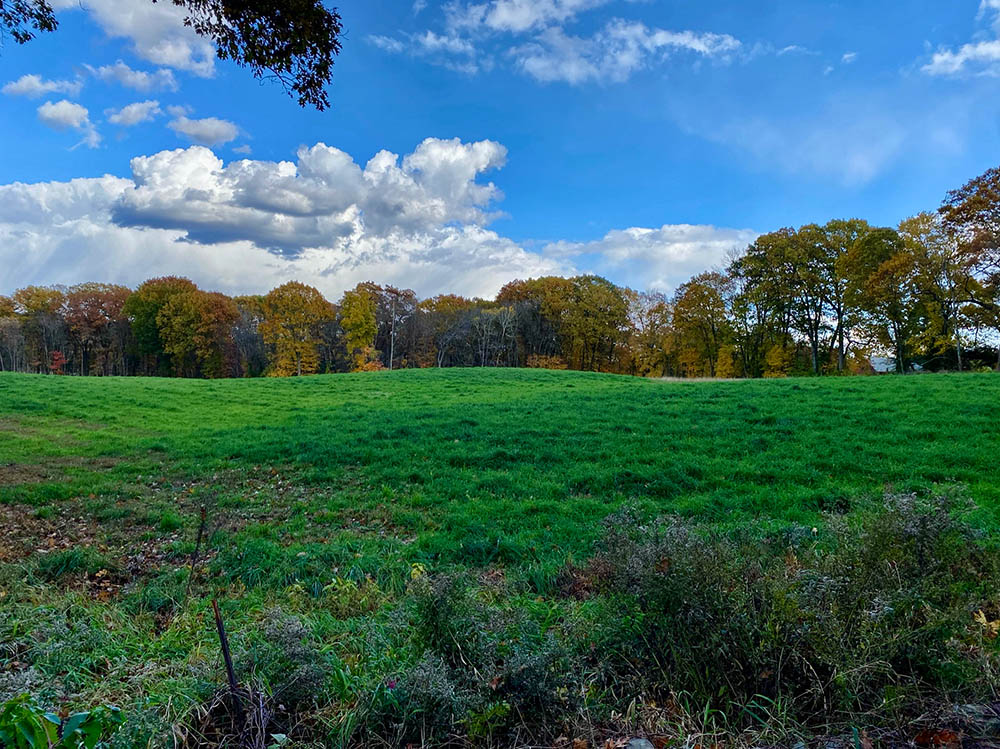 A scenic view of lush green fields and trees
