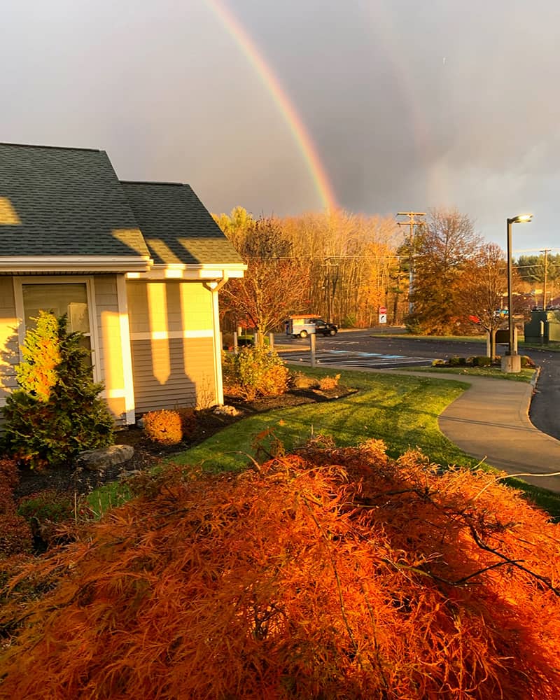 Colorful autumn garden with a rainbow in the background