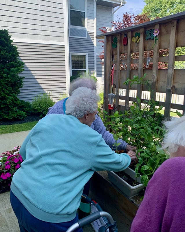 Residents gardening in an outdoor space