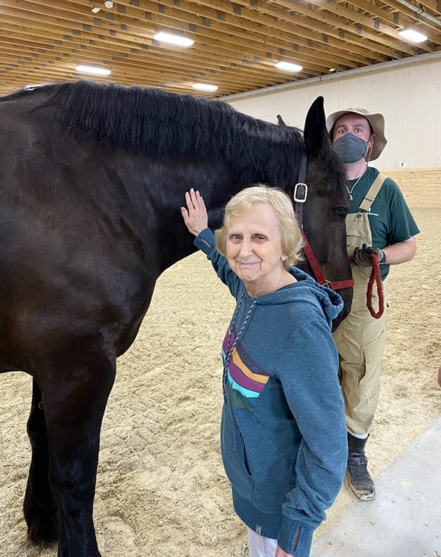 Resident interacting with a horse during an activity session