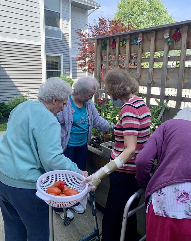 Residents gardening in an outdoor space