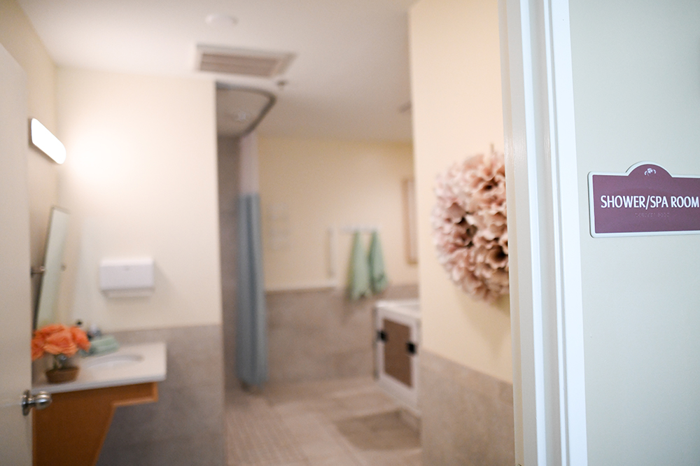 Interior view of a shower and spa room