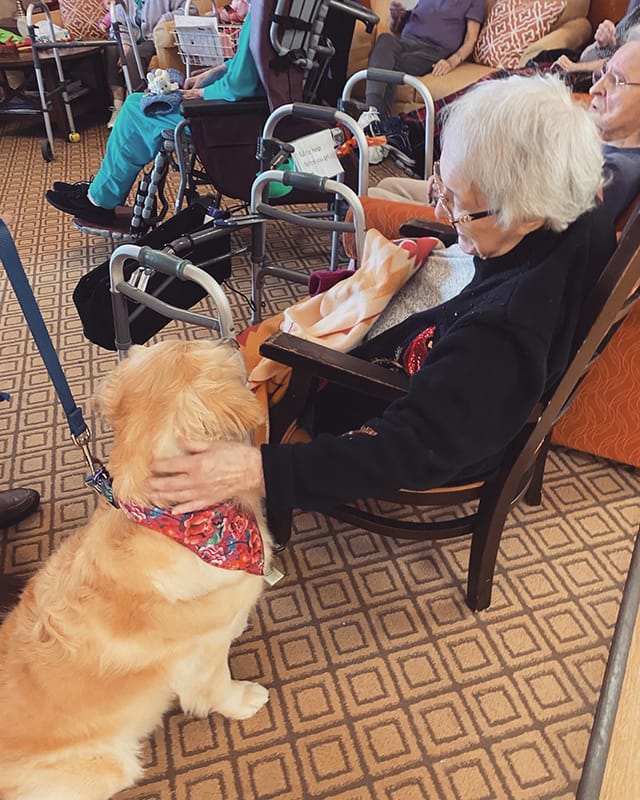 An elderly resident interacting with a dog in a communal area