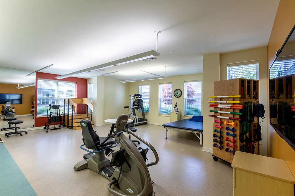 Therapy room with exercise equipment and workout areas
