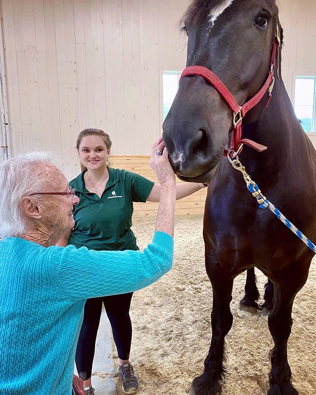 Resident interacting with a horse in a therapeutic setting
