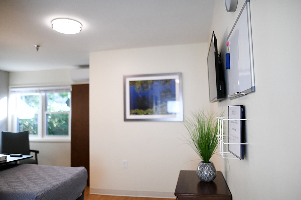Interior view of a resident room with decor