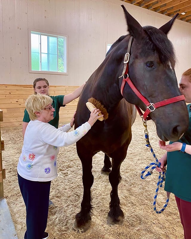 Residents interacting with a horse in an activity area