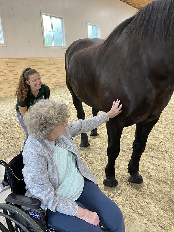 Resident interacting with a horse in a therapy setting