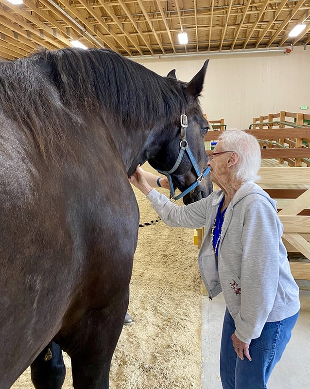 An elderly woman interacting with a horse indoors