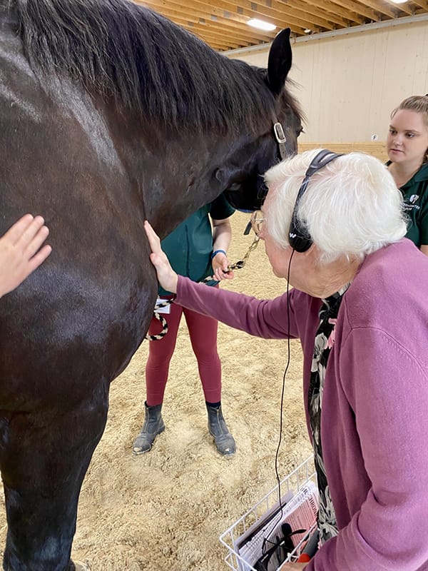 Resident interacting with a horse during therapy.