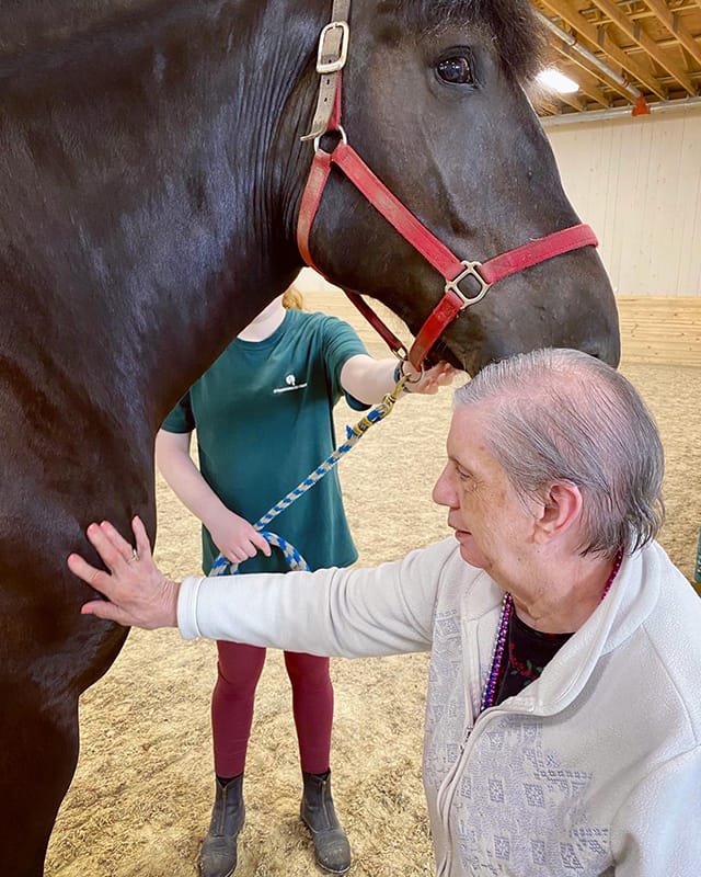 Resident interacting with a horse in a therapy setting