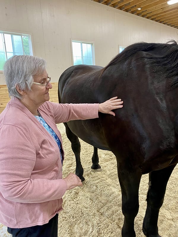 A resident interacting with a horse indoors