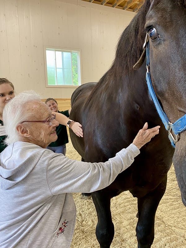 Resident interacting with a horse during an activity