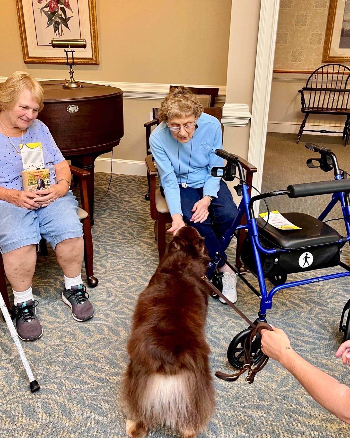 Residents interacting with a dog in a common area