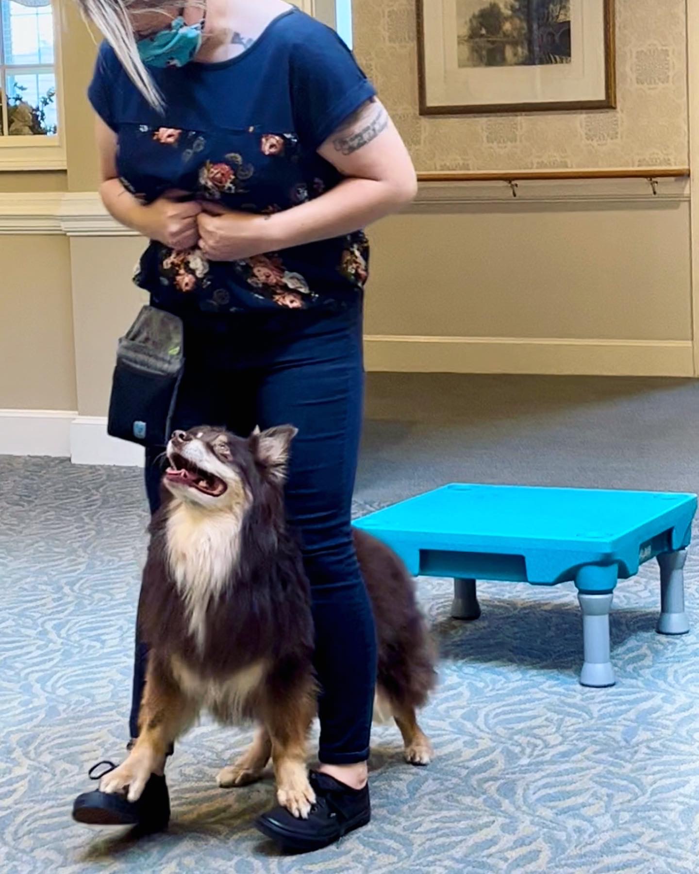 Staff member interacting with a therapy dog in a common area