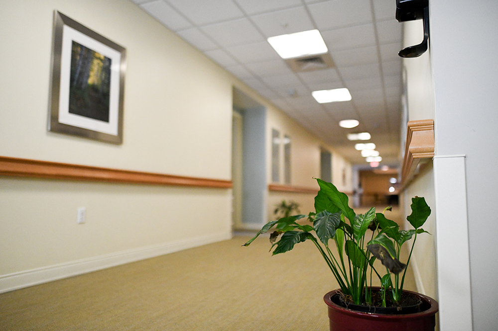 Interior hallway with decorative plants