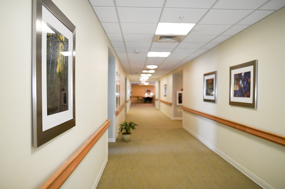 Hallway with framed artwork and plants