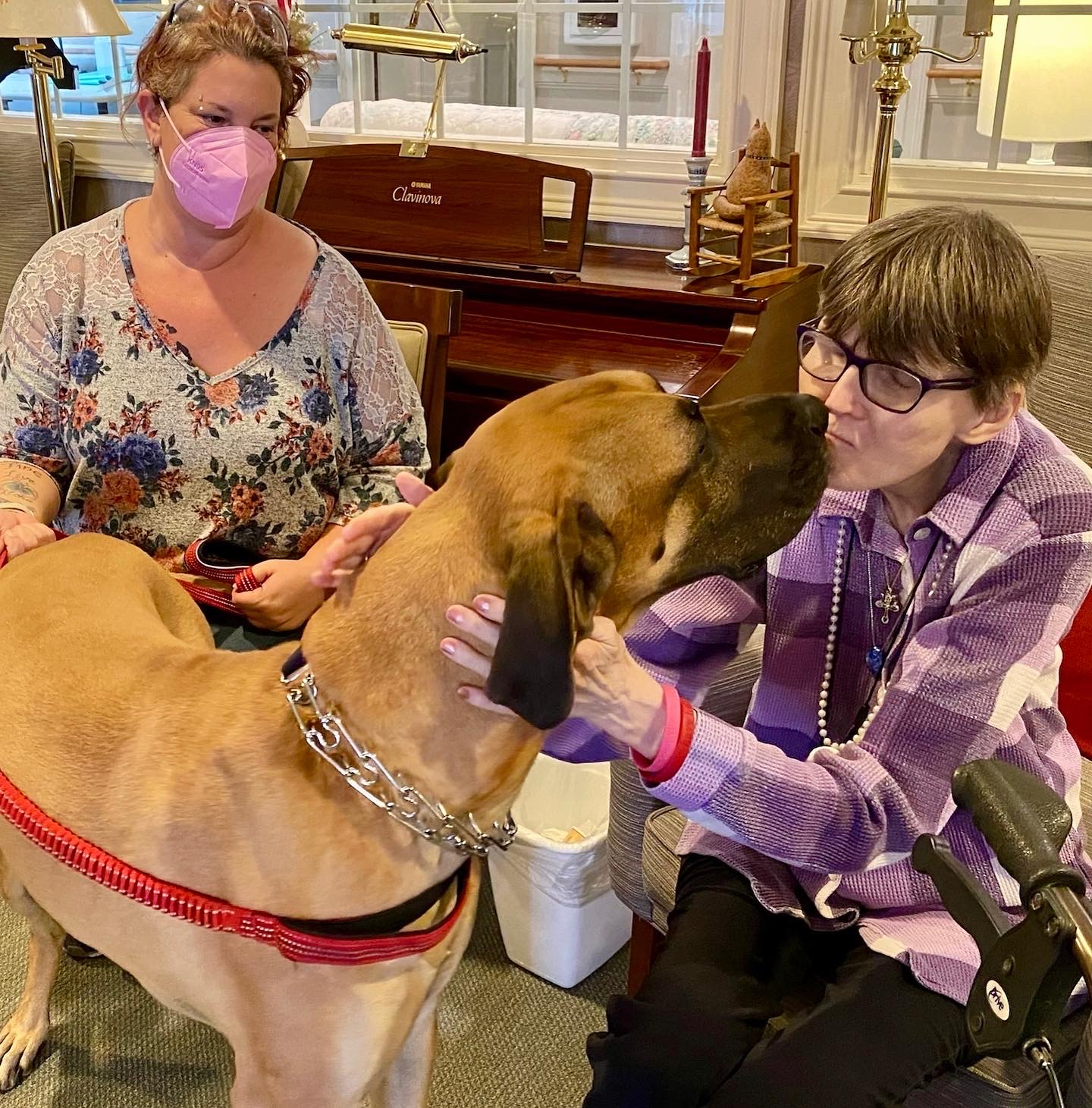 Residents interacting with a therapy dog in a common area