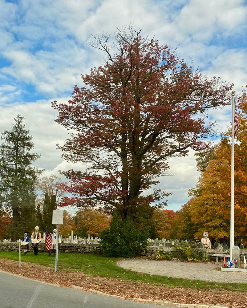 A large tree with colorful leaves in a cemetery
