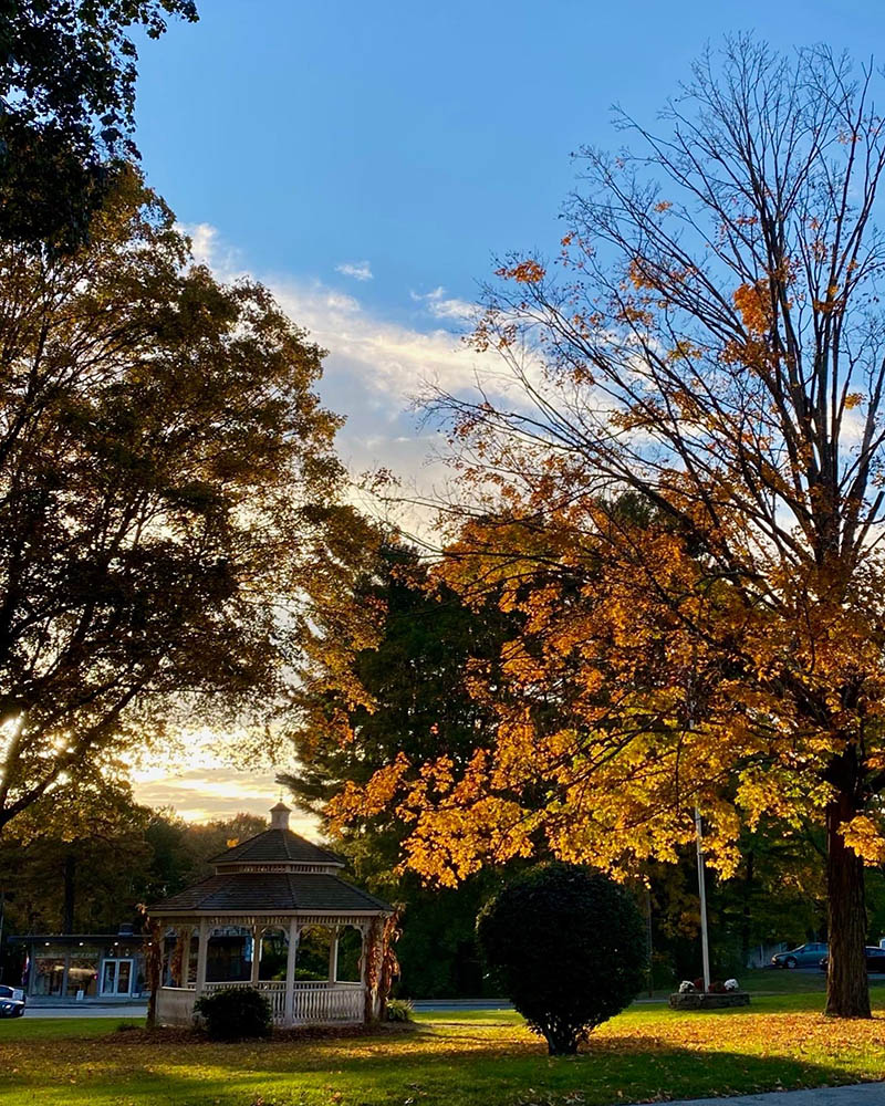 Gazebo surrounded by autumn foliage at the facility