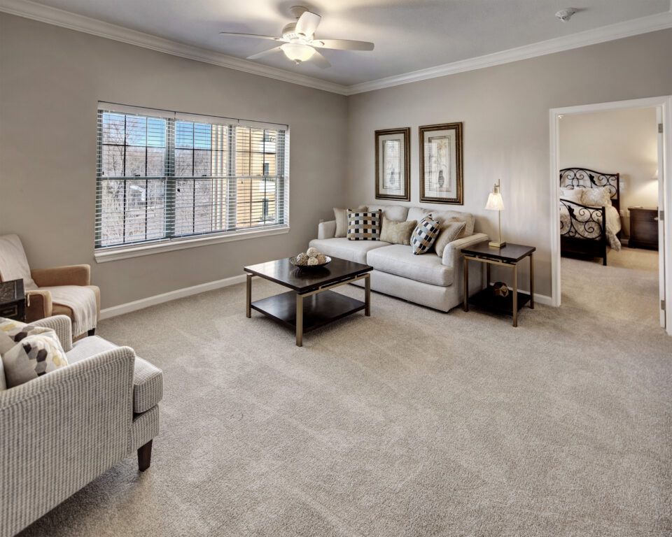 Bright living room area with comfortable seating