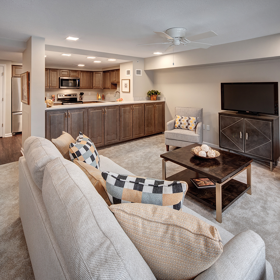 Bright living room area with modern furniture