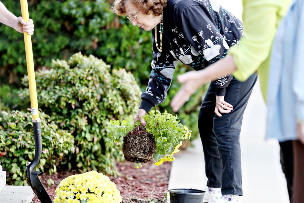 Residents gardening outdoors with flowers