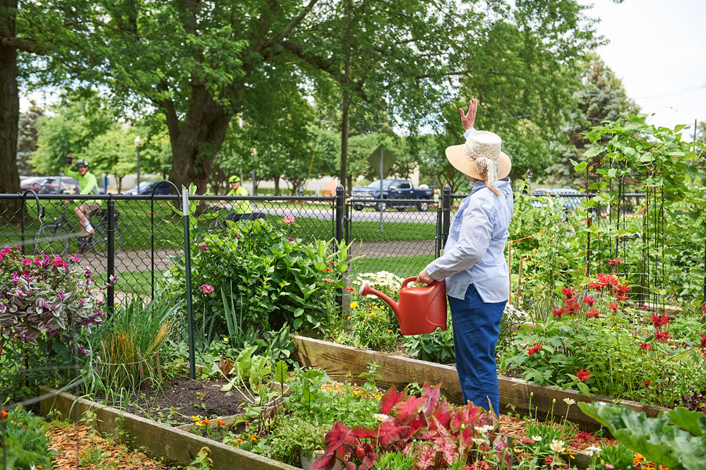 Resident watering plants in a vibrant garden