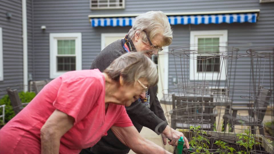 Two residents gardening in the outdoor space